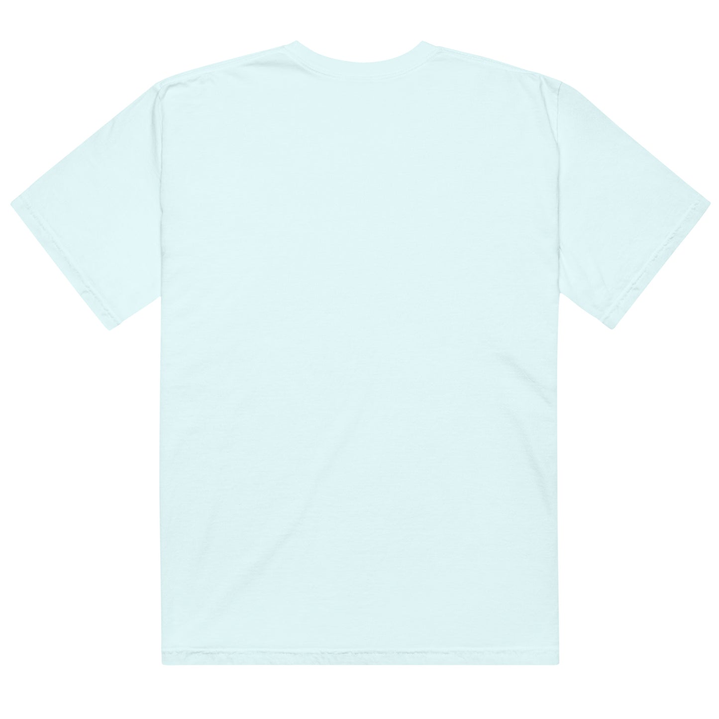 Moscow-Pullman Daily News Unisex garment-dyed heavyweight t-shirt