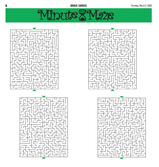 BRAIN GAMES -- Puzzle Book